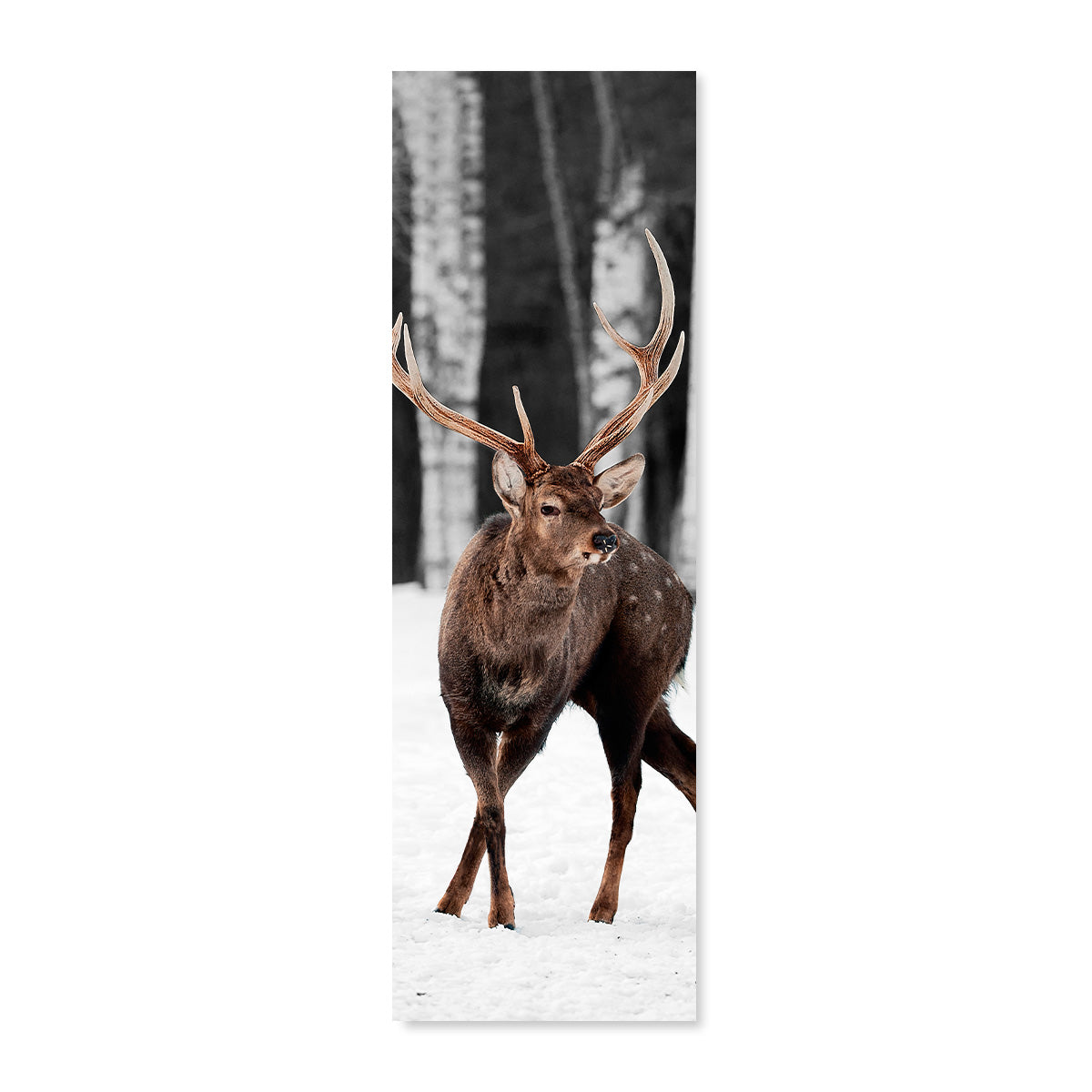 Transat animal cerf