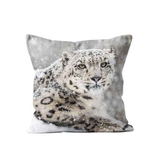 Coussin panthère en velours