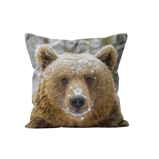 Coussin Ours carré en velours