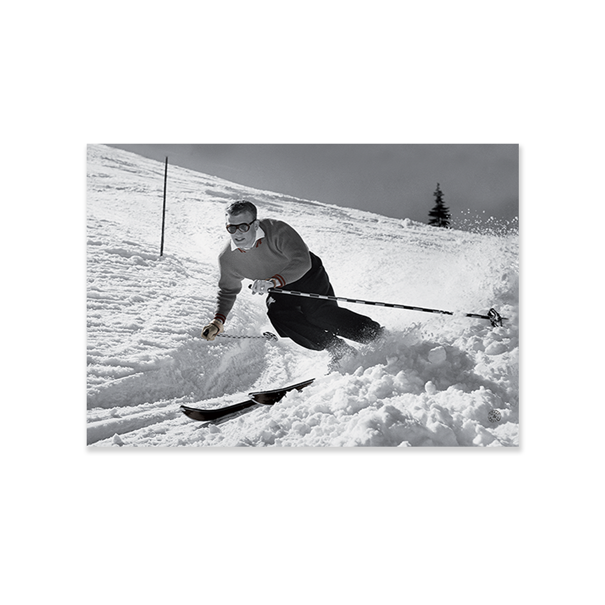 Tableau vintage ski