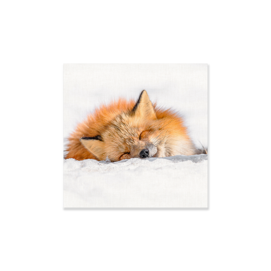 Tableau Renard