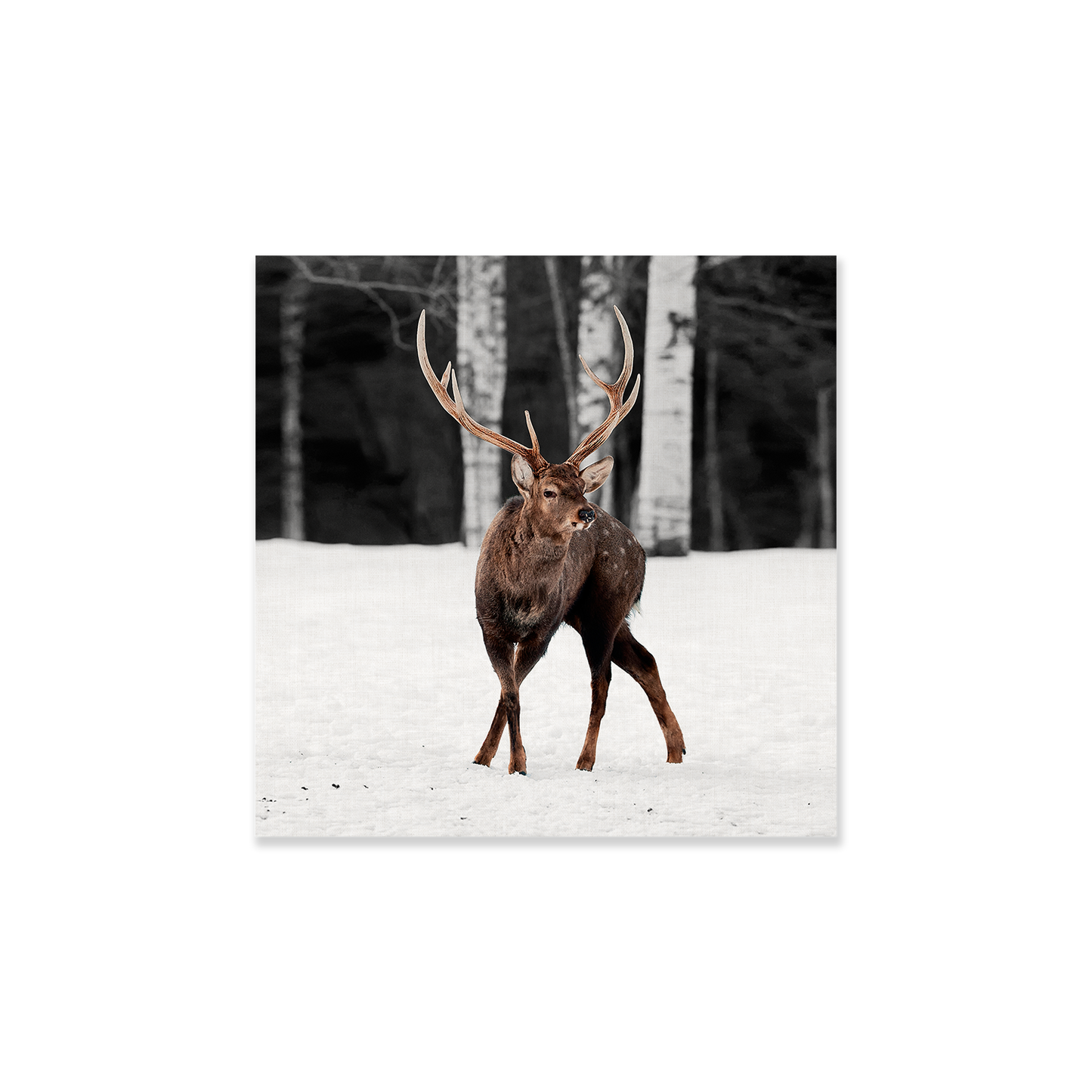 Tableau animal cerf forêt
